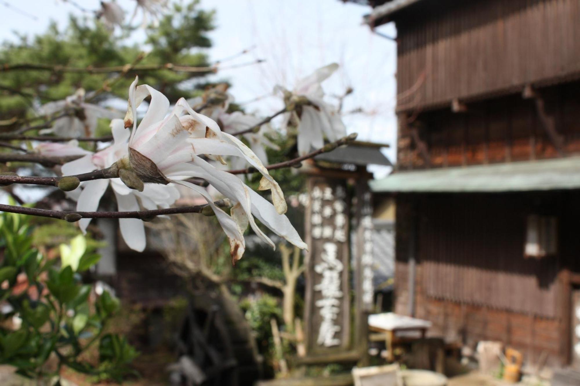Magome Chaya Hotel Nakatsugawa Ngoại thất bức ảnh